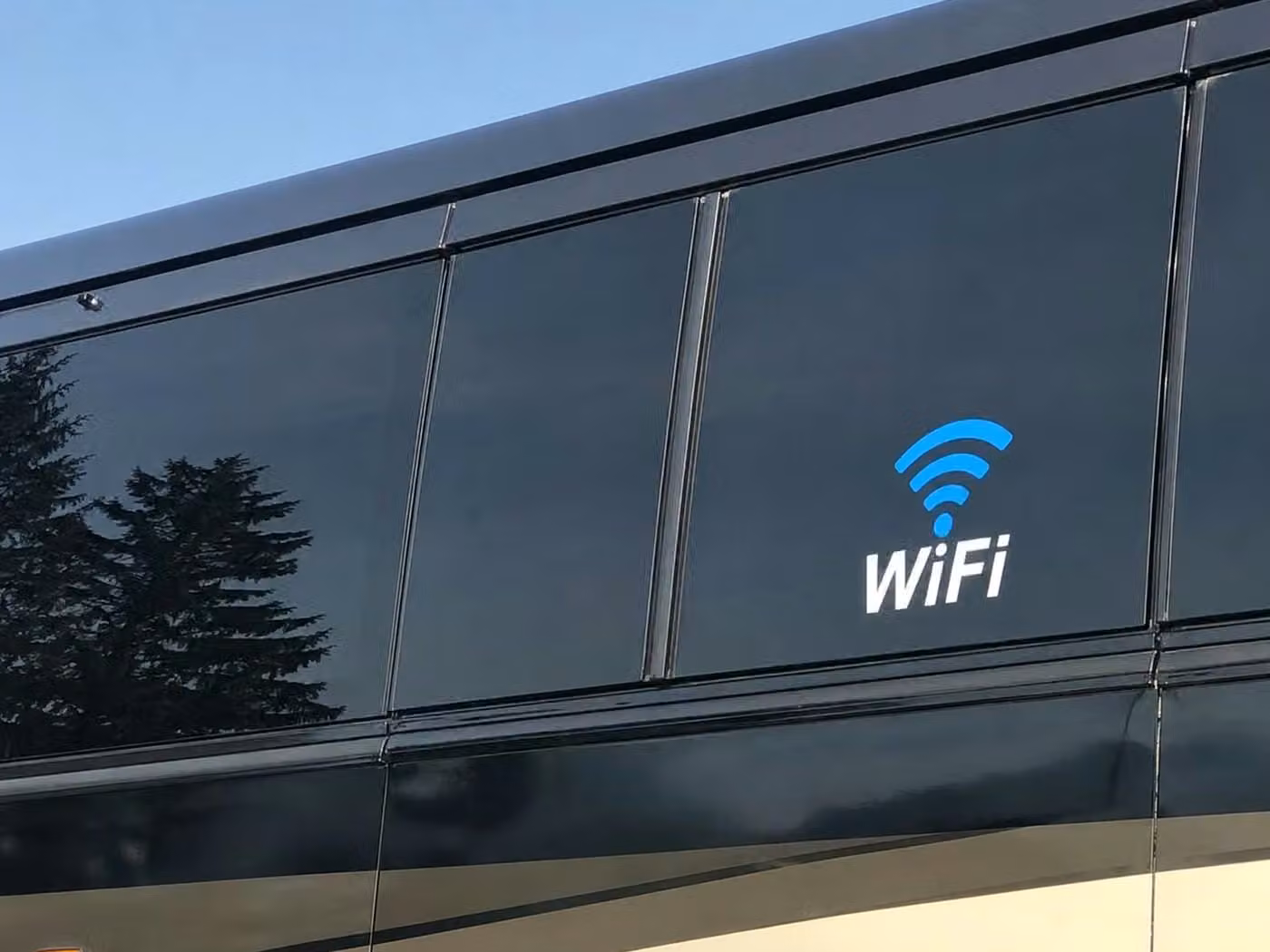 dana point 30 passenger minibus wifi