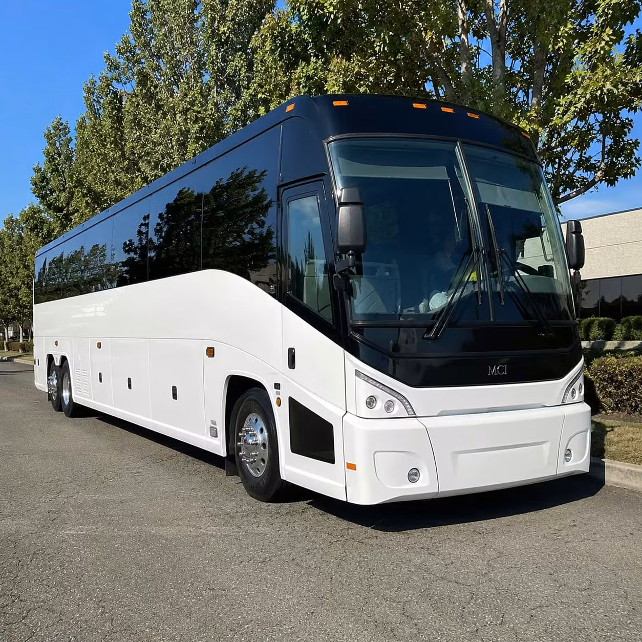 dana point buses