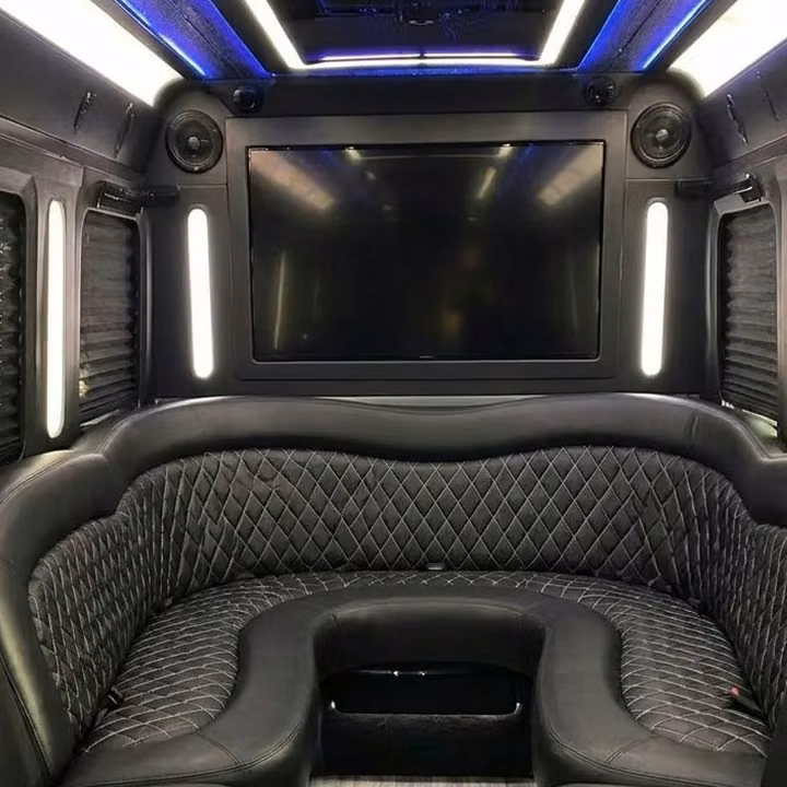 dana point party bus sound system