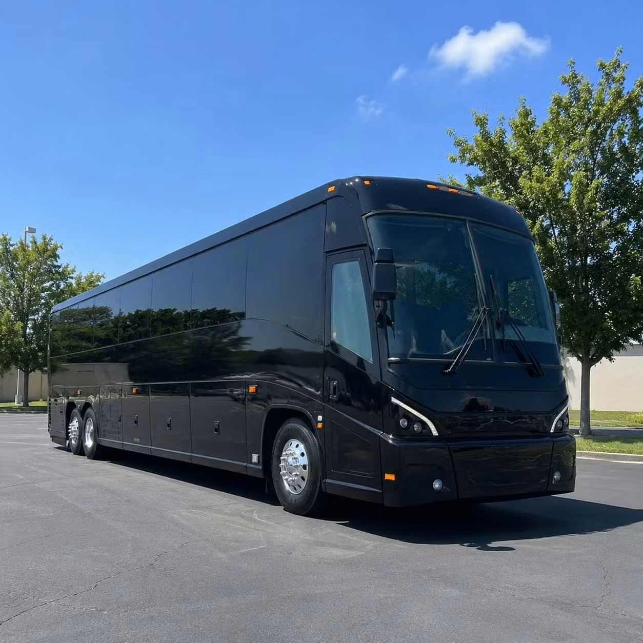 dana point private dana point charter buses for family vacations reunions and road trips