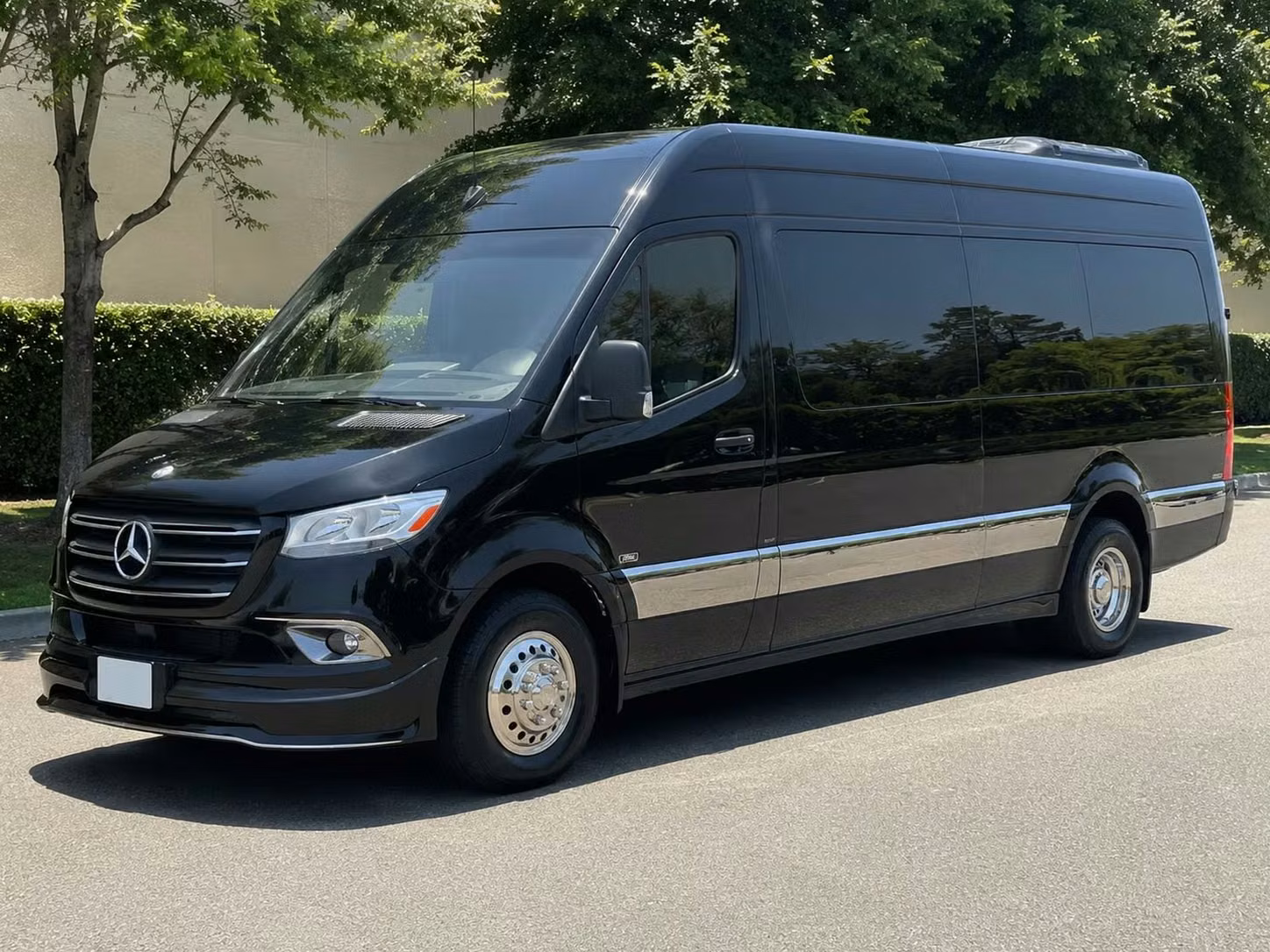 dana point sprinter van rental with driver